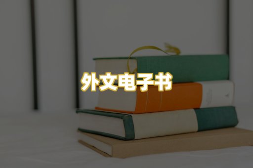 外文电子书
